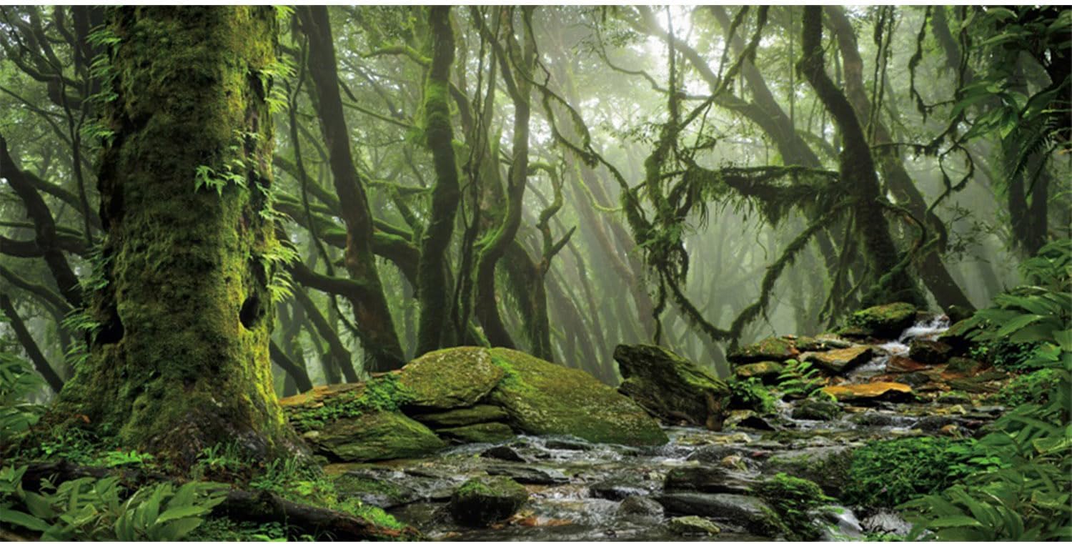 AWERT 36x18 inches tropical forest backdrop packaging with EVA double sided tape pieces