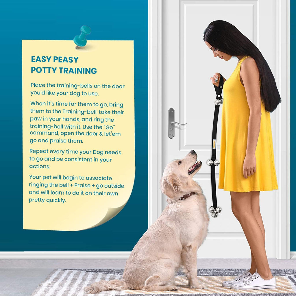 Chrome coated jingle bells for dog door communication