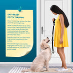Chrome coated jingle bells for dog door communication