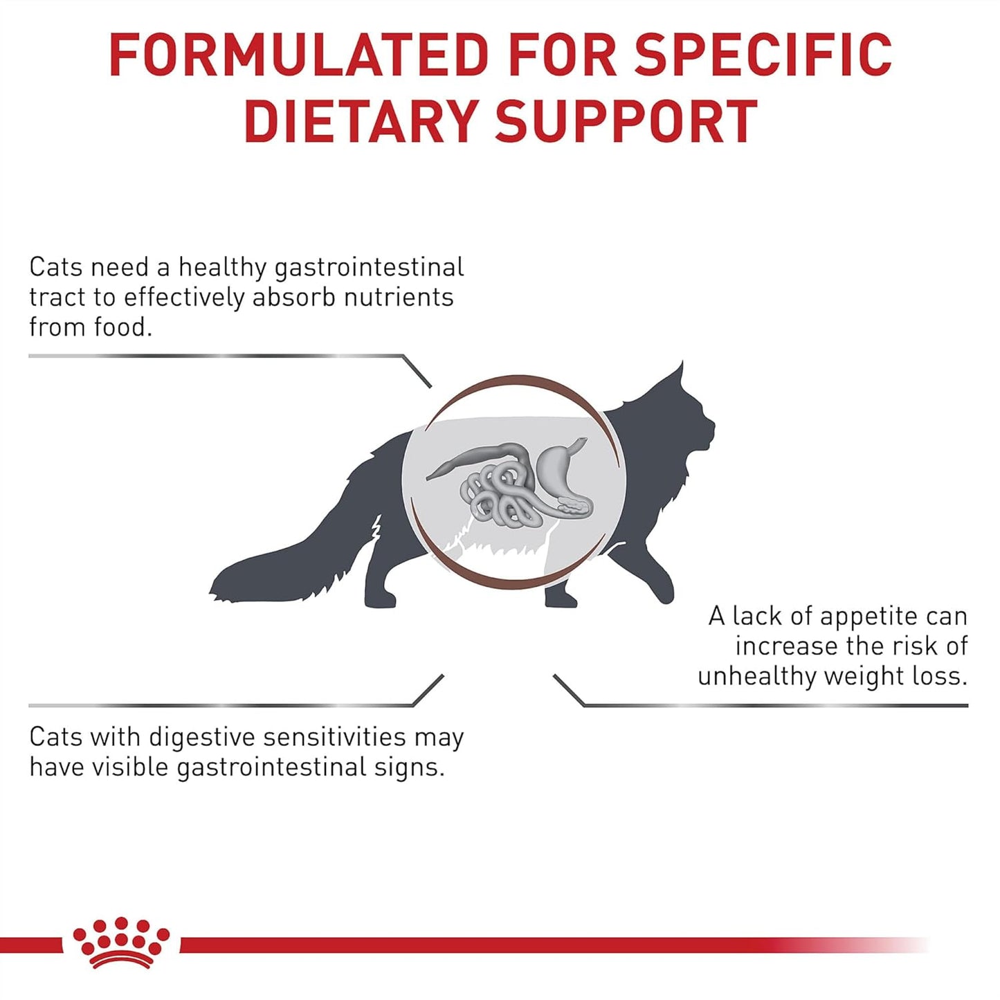Premium imported Royal Canin veterinary diet feline gastrointestinal bag side view