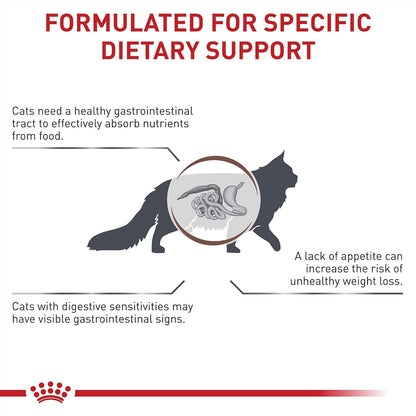 Premium imported Royal Canin veterinary diet feline gastrointestinal bag side view
