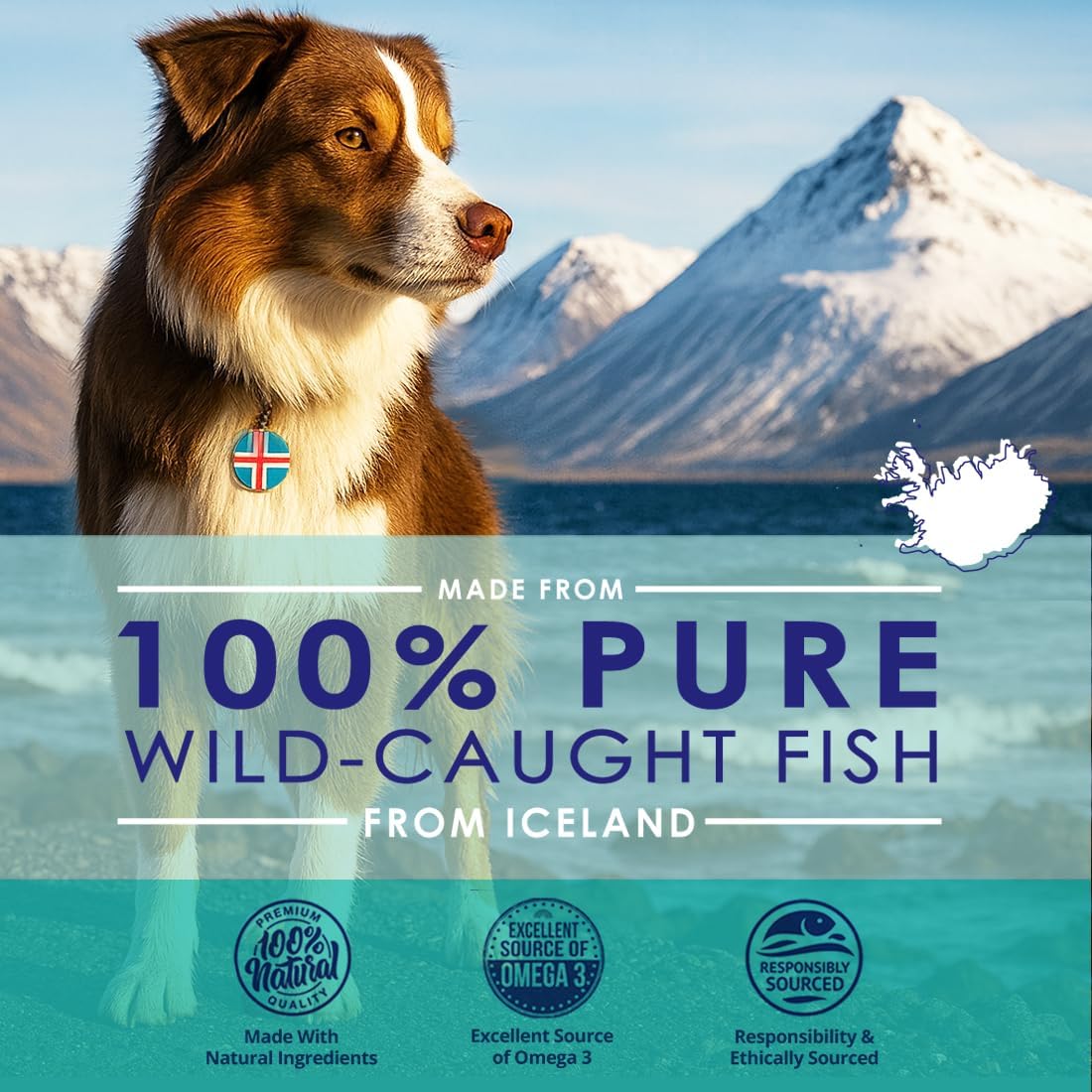 Wild caught Icelandic omega fish oil liquid supplement for dog shedding and allergy relief