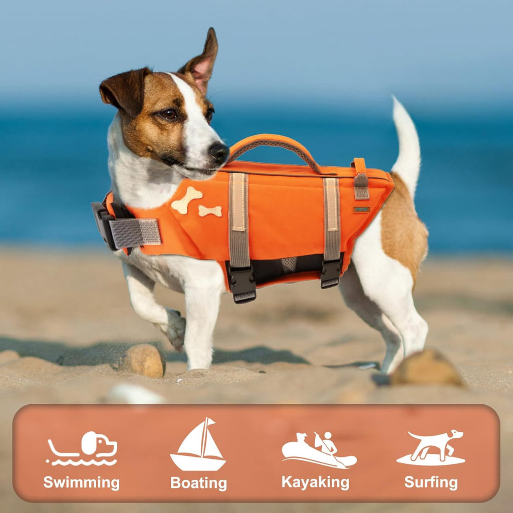 EMUST dog life jacket on a large breed swimming in a pool