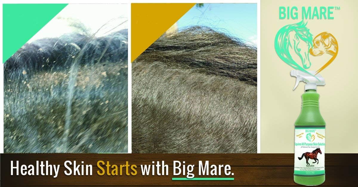 Close up of Big Mare 32 fluid ounce bottle for itchy mane and tail relief