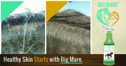 Close up of Big Mare 32 fluid ounce bottle for itchy mane and tail relief