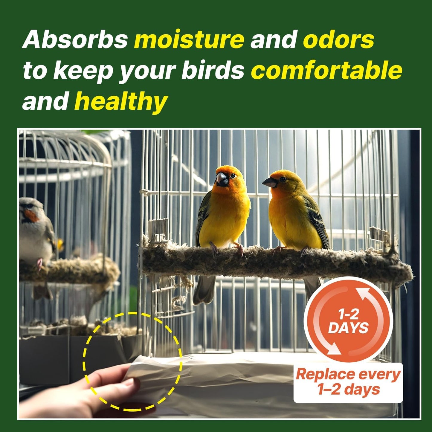 Using T Torto9 paper liner in a standard bird cage