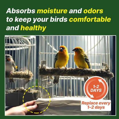 Using T Torto9 paper liner in a standard bird cage