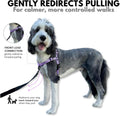 ShawnCo Dream Walk Pro Dog Harness- No-Pull, Comfortable, Adjustable, Easy to Use Pet Halter to Help Stop Pulling for Small, Medium and Large Dogs (ICY Lilac, Small) - Image 2