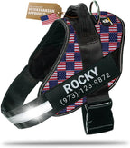 DOGGYKINGDOM Personalized Dog Harness with Custom Name Patches, Adjustable Reflective No Choke Dog Vest with Handle for Medium Sized Dog, Blue, M - Image 13