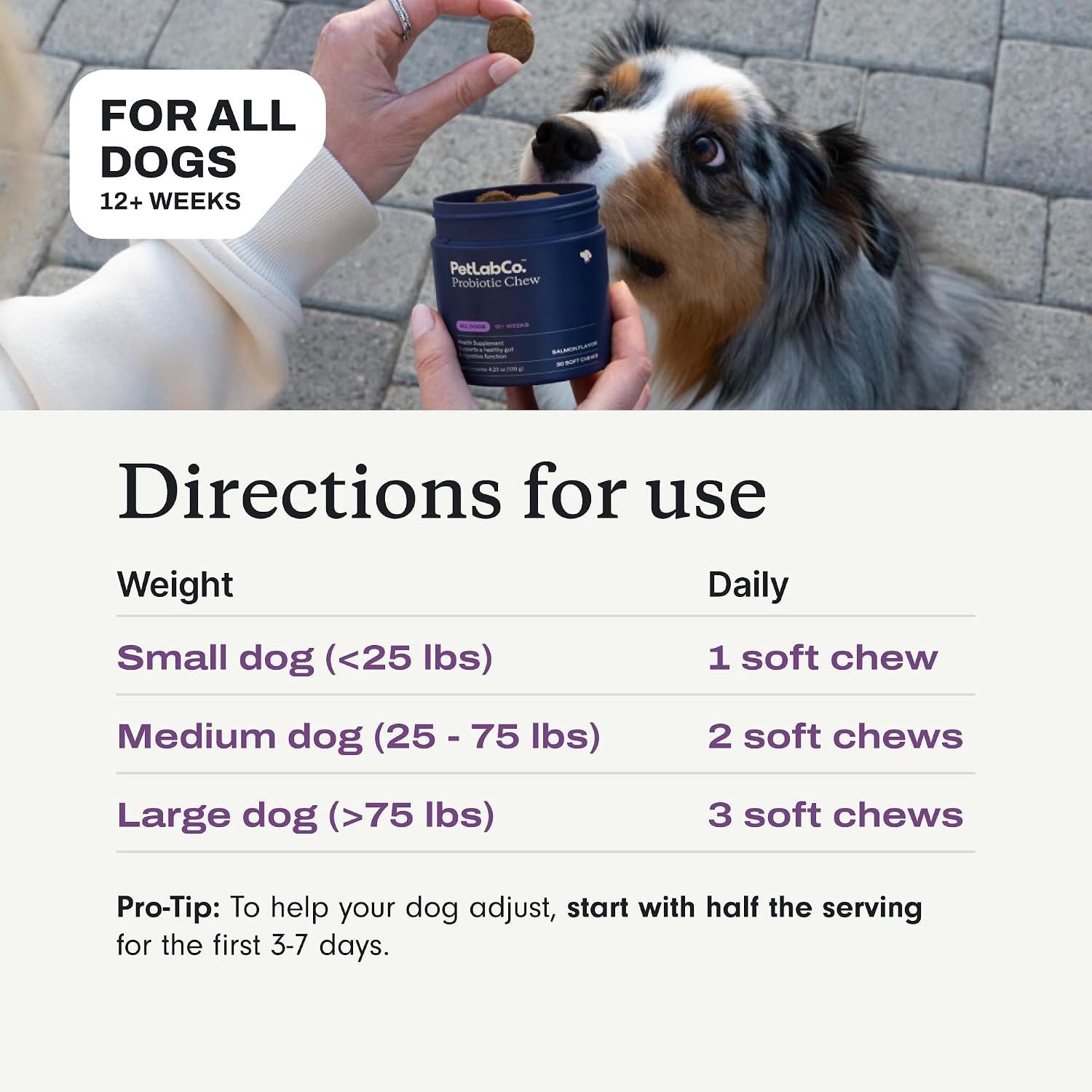 Authentic PetLab Co. dog digestive health soft chews 60 count bundle.