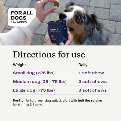 Authentic PetLab Co. dog digestive health soft chews 60 count bundle.