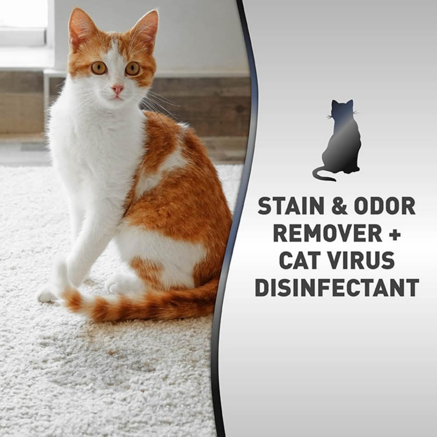 Pet stain and odor cleaner being sprayed on a living room carpet surface.