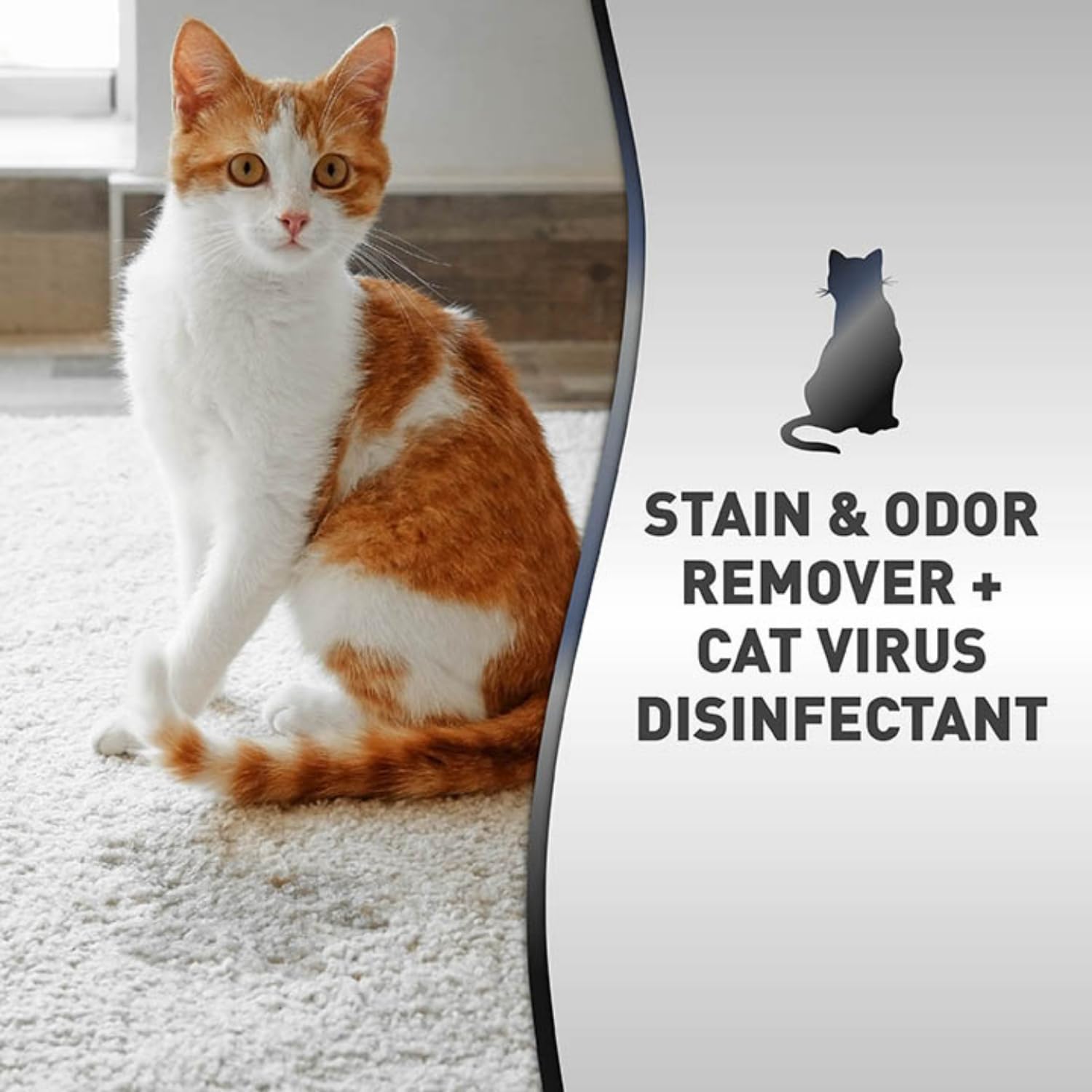 Pet stain and odor cleaner being sprayed on a living room carpet surface.