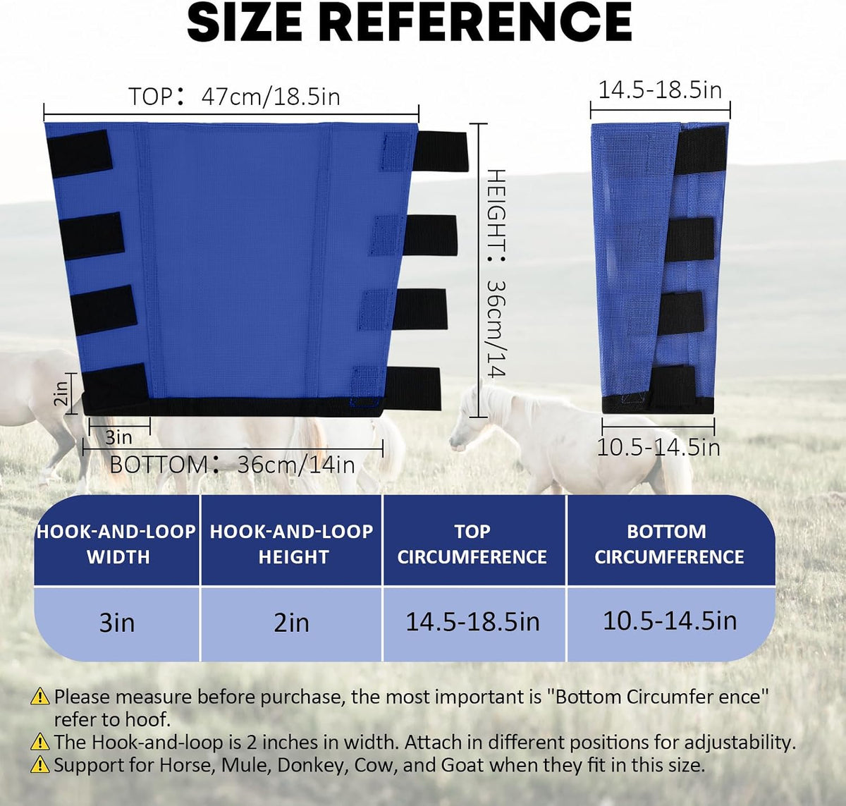 Wizbrio pasture protective leg guards reducing stomp fatigue for horses