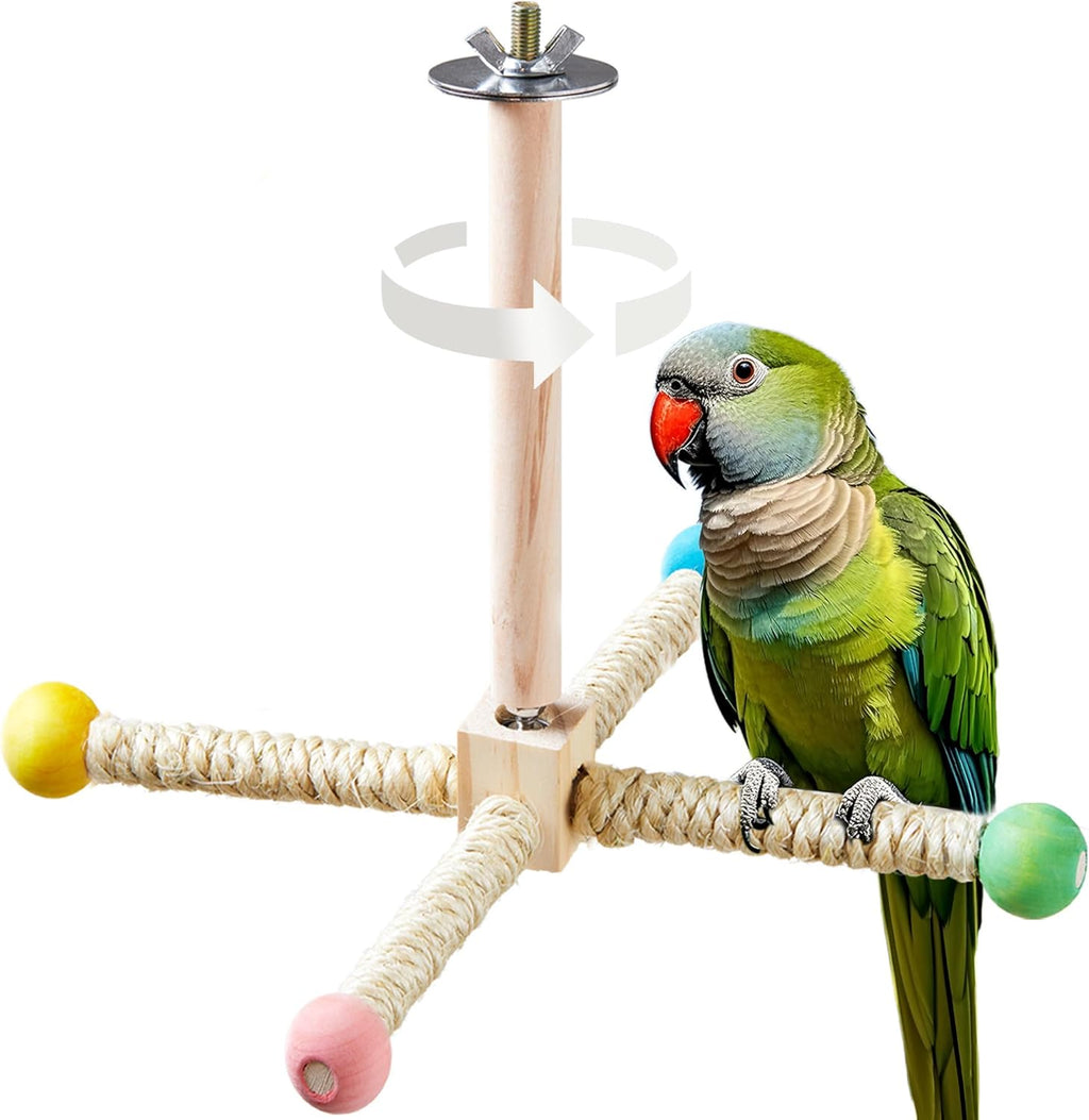 Budgie perched on a natural wood interactive spinning toy.
