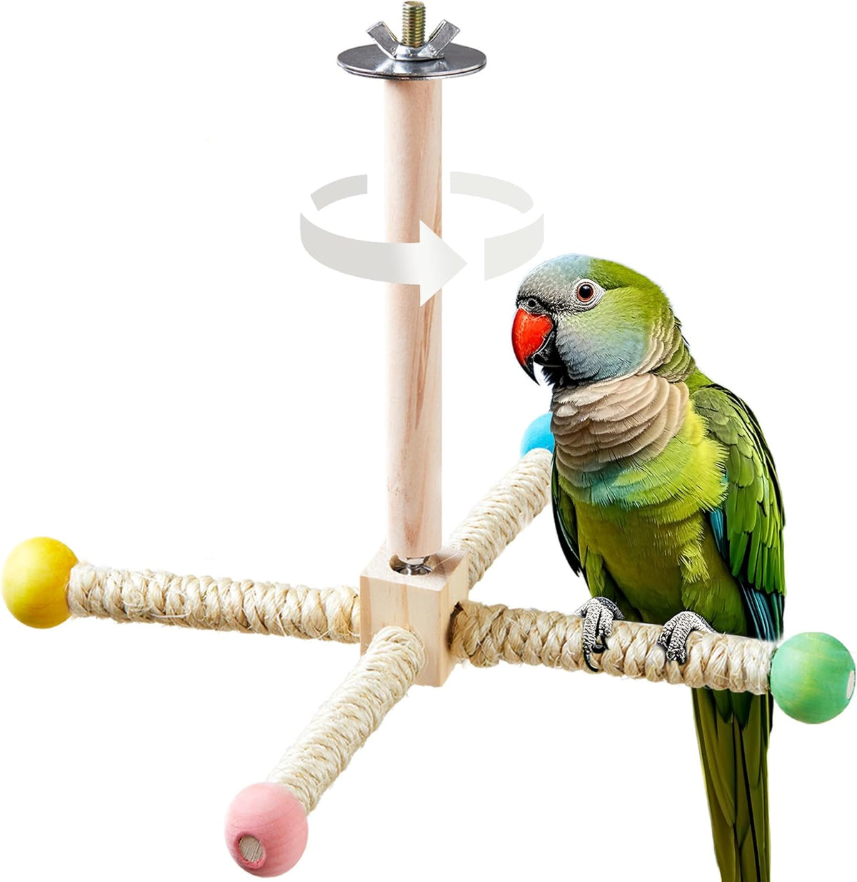 Budgie perched on a natural wood interactive spinning toy.