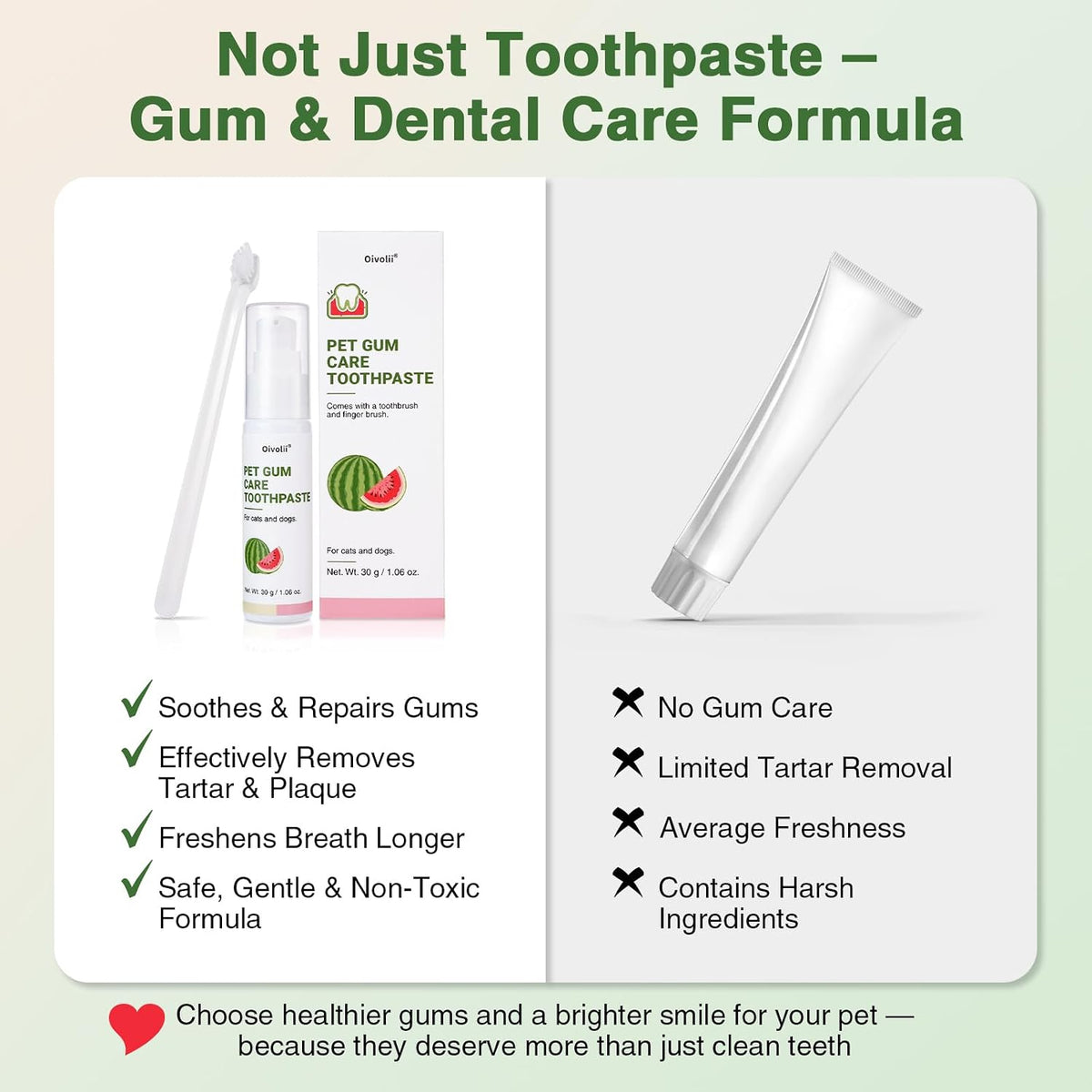 Oivolii canine oral health kit showing the long-handled pet toothbrush and tube of paste.
