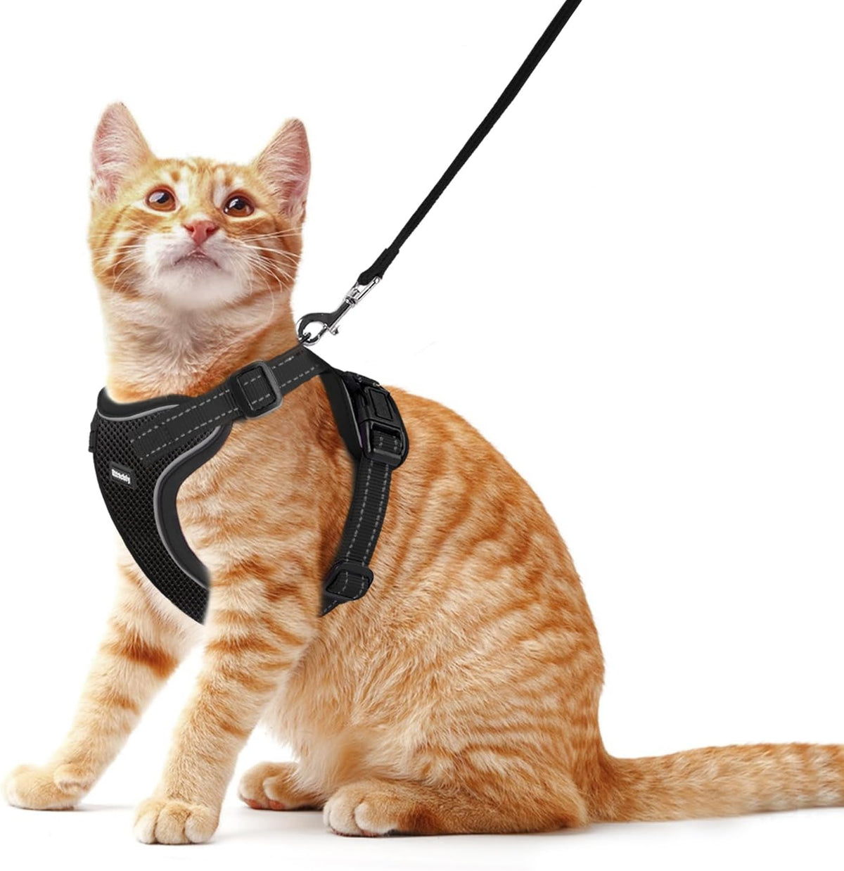Rttochfy secure escape proof cat harness fast release buckles view