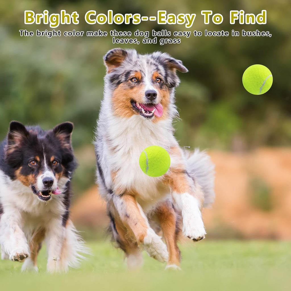 Magicorange squeaky dog toy balls for outdoor exercise