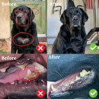 Back 40 Dogs organic seaweed supplement for pet dental health