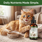 PLYNXE Catnip Essential Oil liquid supplement drops for cat digestive health