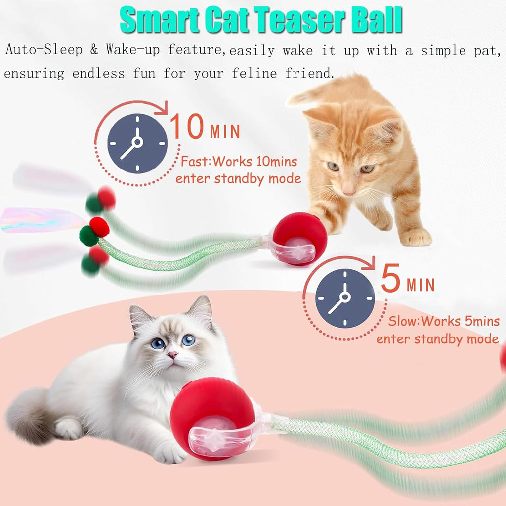 Close up of Tchernt cat toy rechargeable port