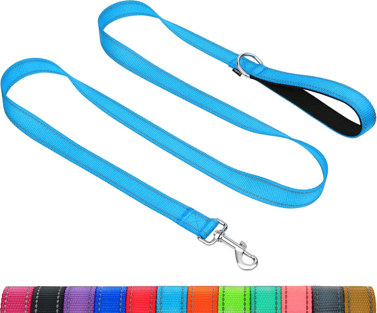 Taglory imported high visibility reflective pet leash lifestyle close up