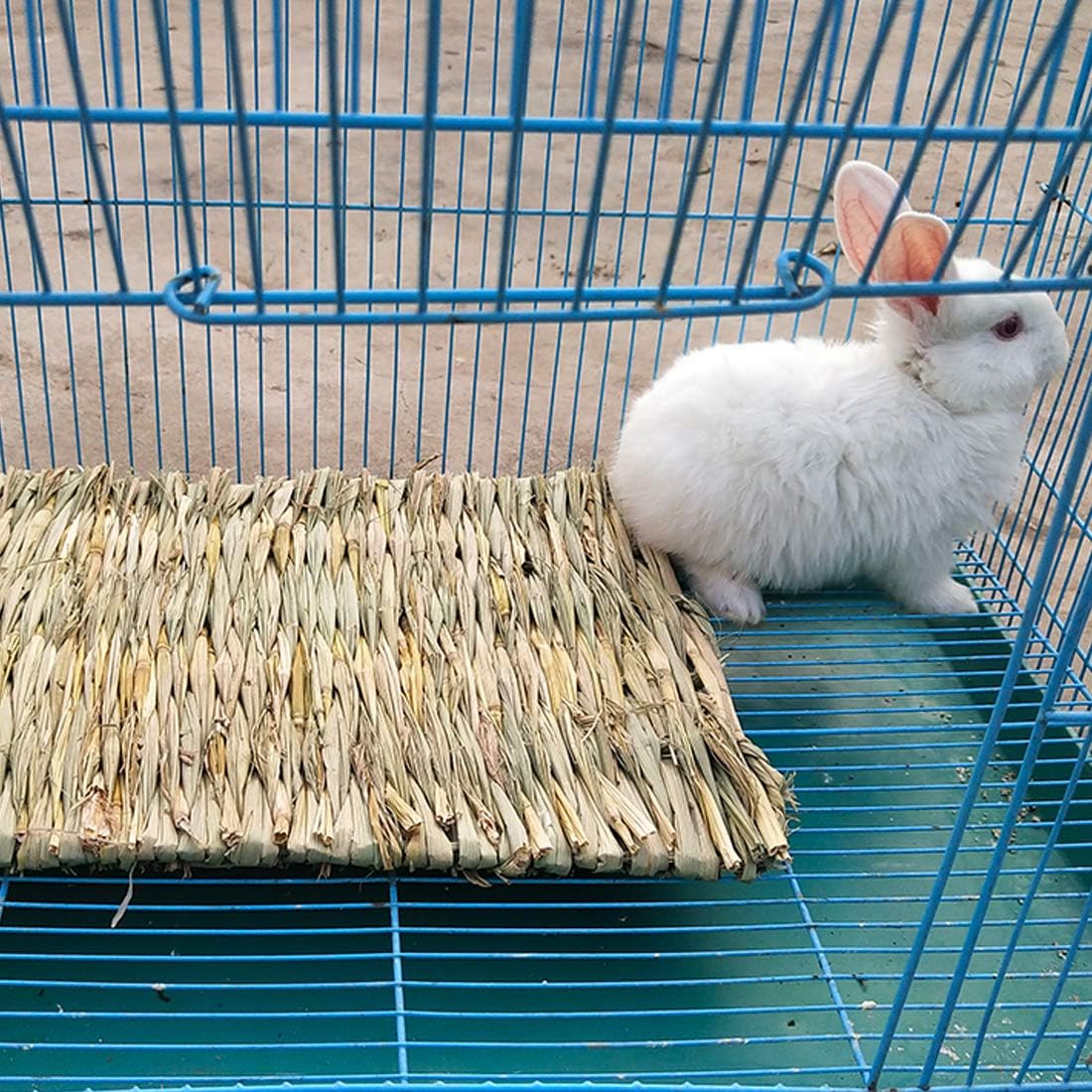 Small animal nesting on woven grass bedding