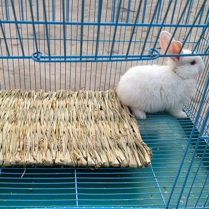 Small animal nesting on woven grass bedding