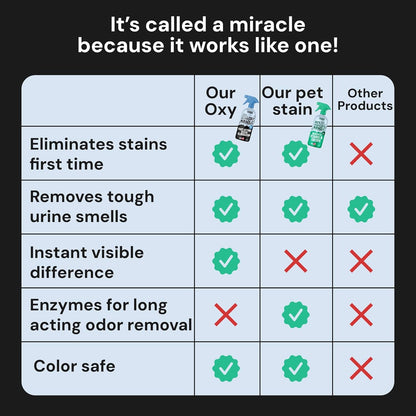 Sunny And Honey pet mess remover for couches