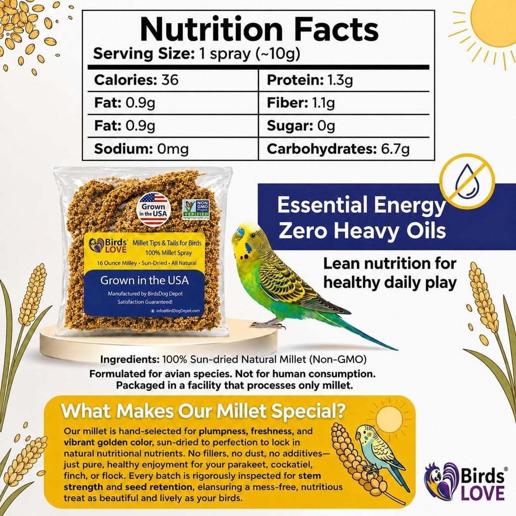 Birds LOVE non GMO bird food bag close up