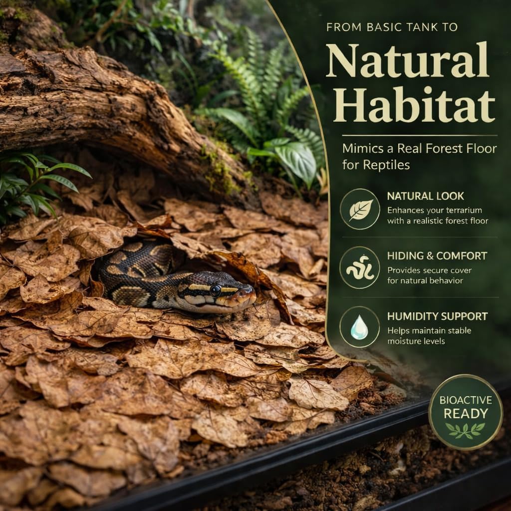 Maqihan 5 ounce terrarium forest floor bedding side profile