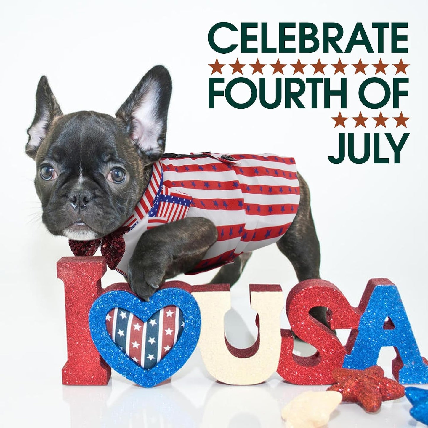 Kuoser 4th of July dog costume close up of adjustable hook and loop closure