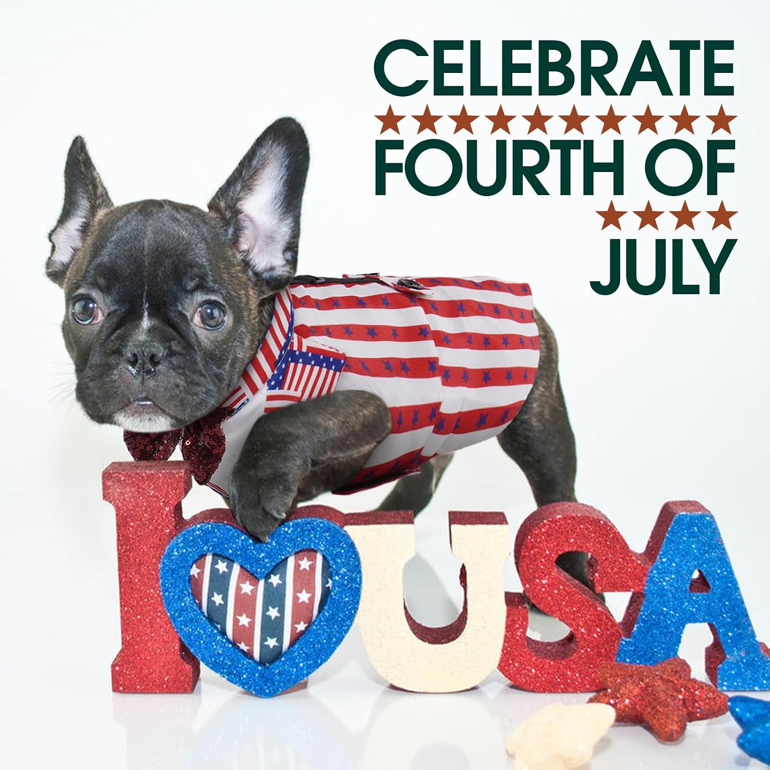 Kuoser 4th of July dog costume close up of adjustable hook and loop closure
