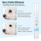 White dog before and after using the Oivolii tear stain remover showing clean bright fur around the eyes.