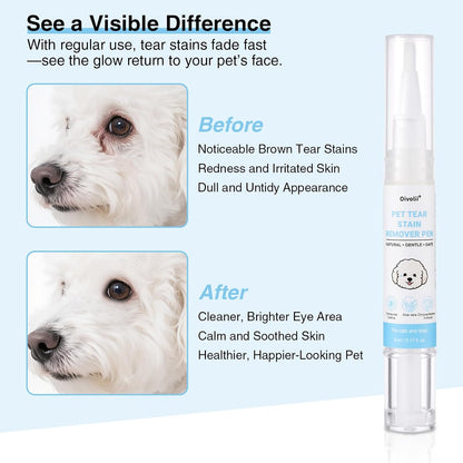White dog before and after using the Oivolii tear stain remover showing clean bright fur around the eyes.