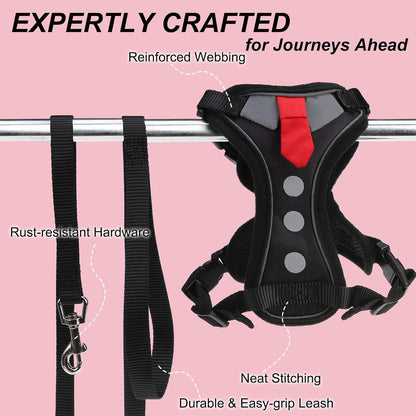 BEAUTYZOO premium imported cat walking harness set with micro sliders