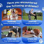 Two bottles of Ansjdh pet trainer spray for unwanted dog behavior