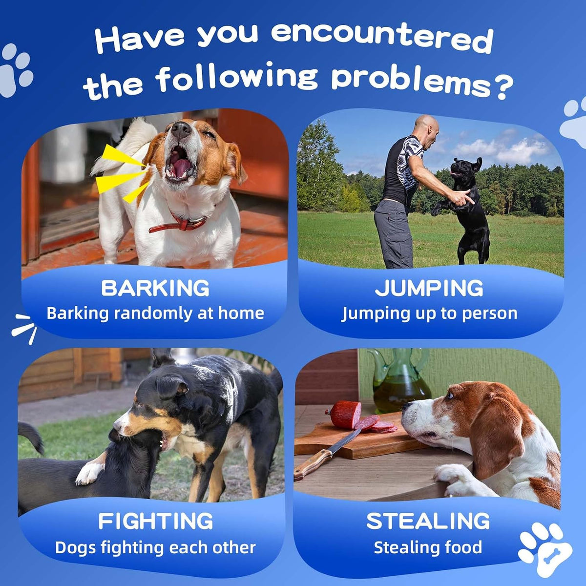 Two bottles of Ansjdh pet trainer spray for unwanted dog behavior