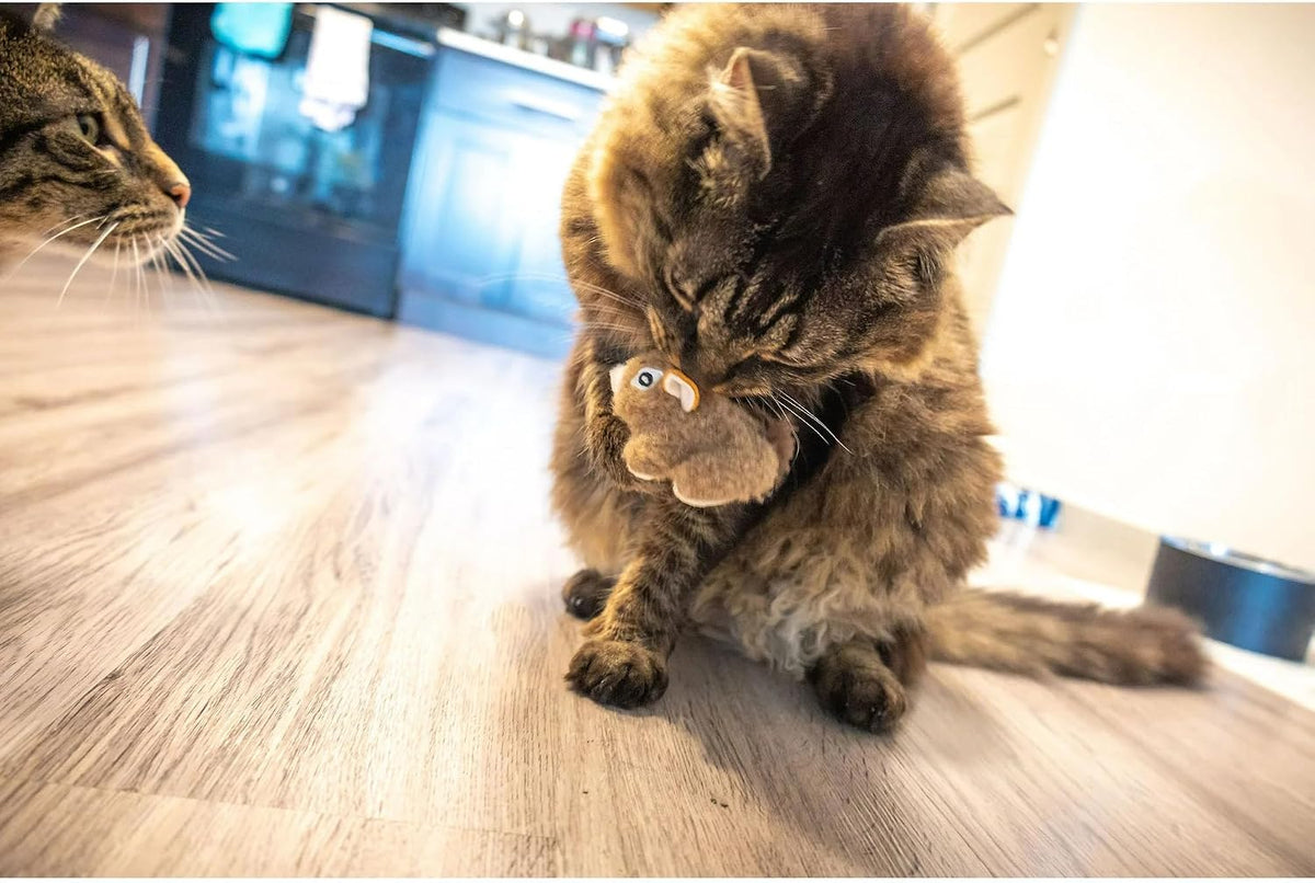 Quiet nocturnal play cat plush toys duo pack