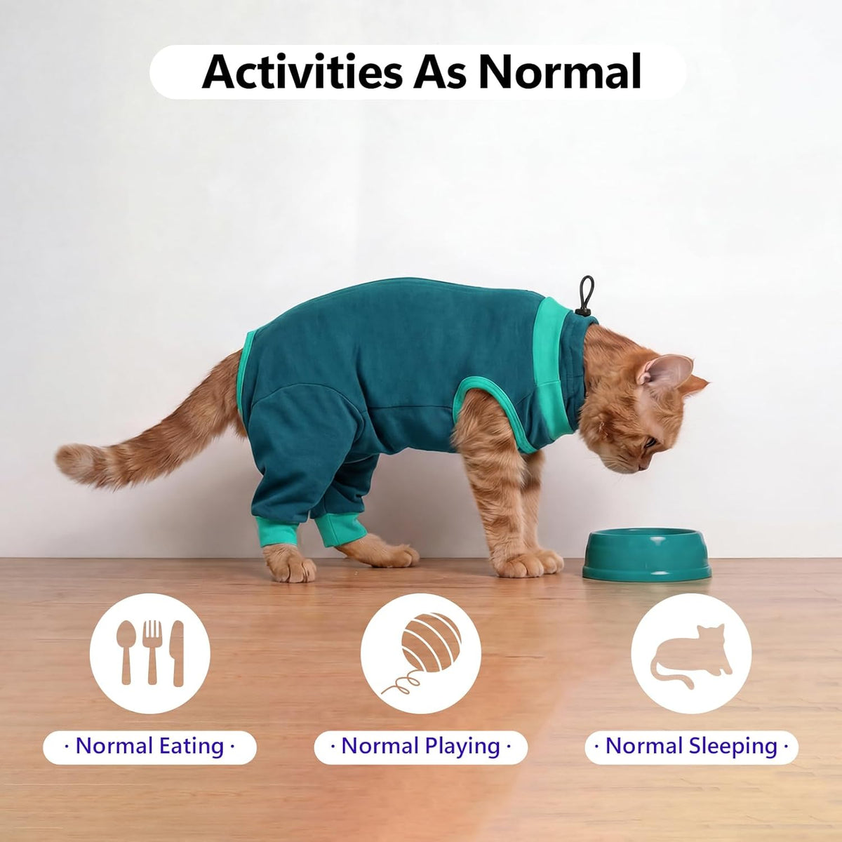Brkurleg cat onesie demonstrating hind leg coverage