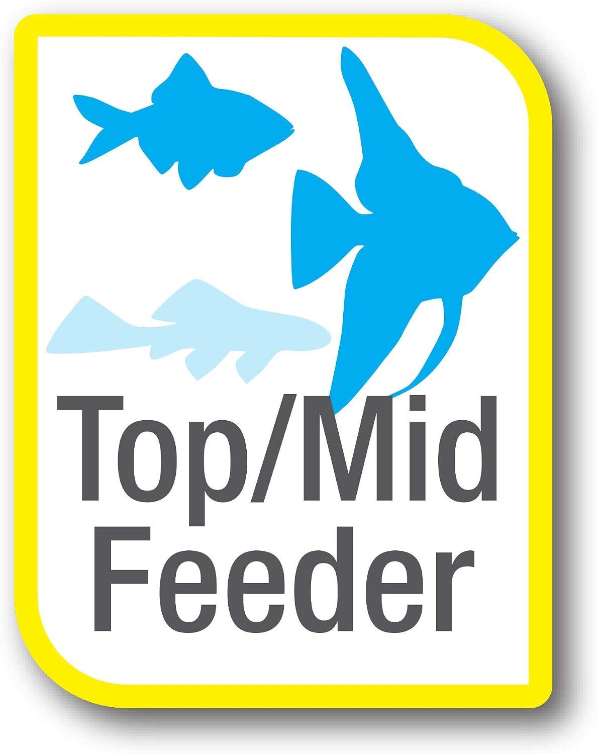 Tropical fish swimming in aquarium after feeding Tetra ColorPlus