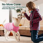 Female dog comfortable in pink surgical recovery onesie