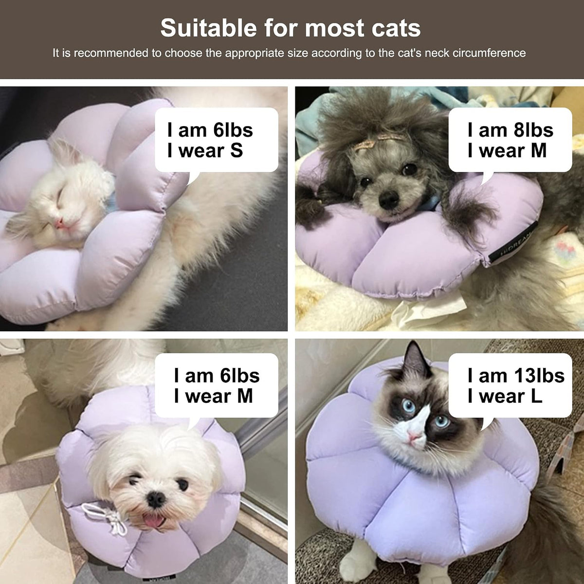 H HIDREAM anti bite lick cat collar material texture and waterproof demonstration