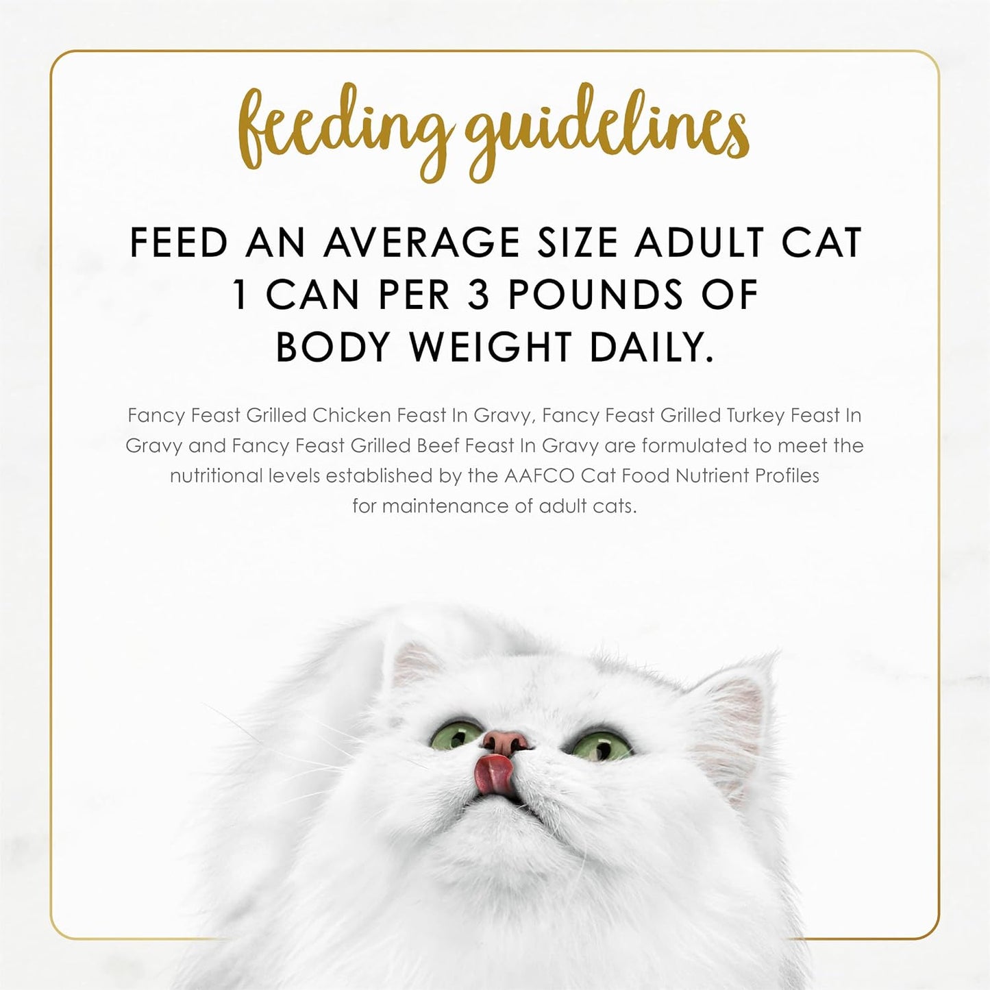 Premium Wet Cat Food Cans Arranged In Rows
