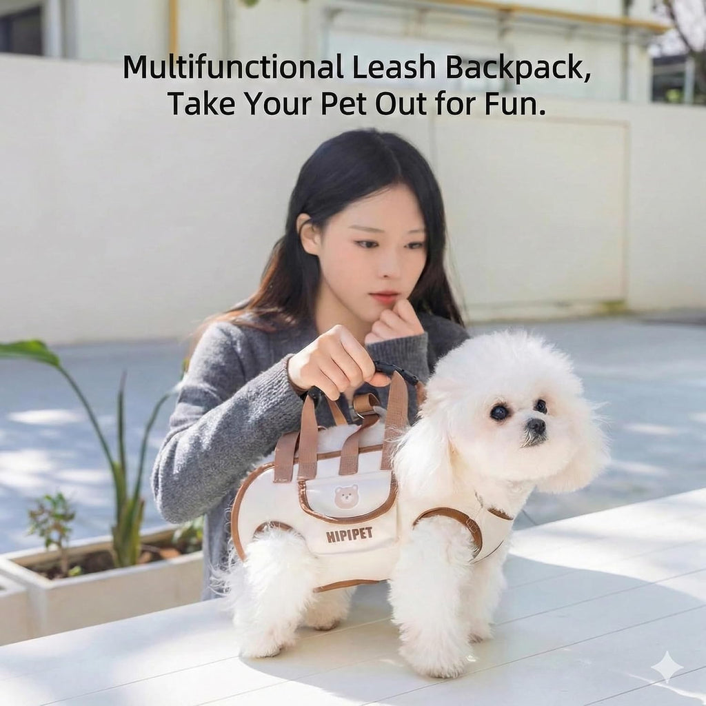 Senior dog using Paws Direction lift assist sling for support