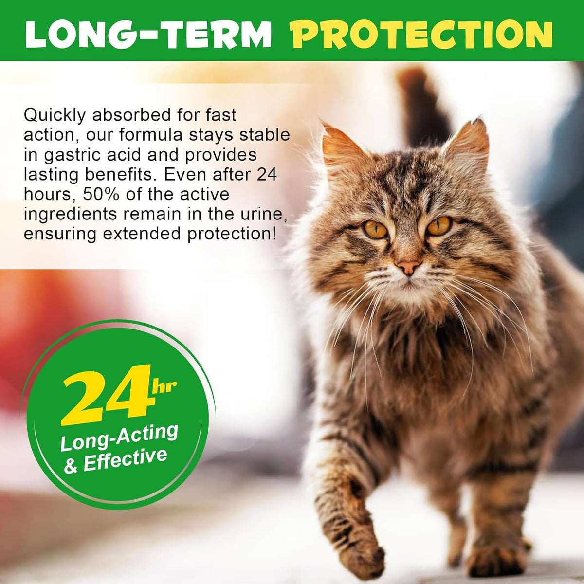 Imported USA cat wellness liquid multivitamin dropper demonstration