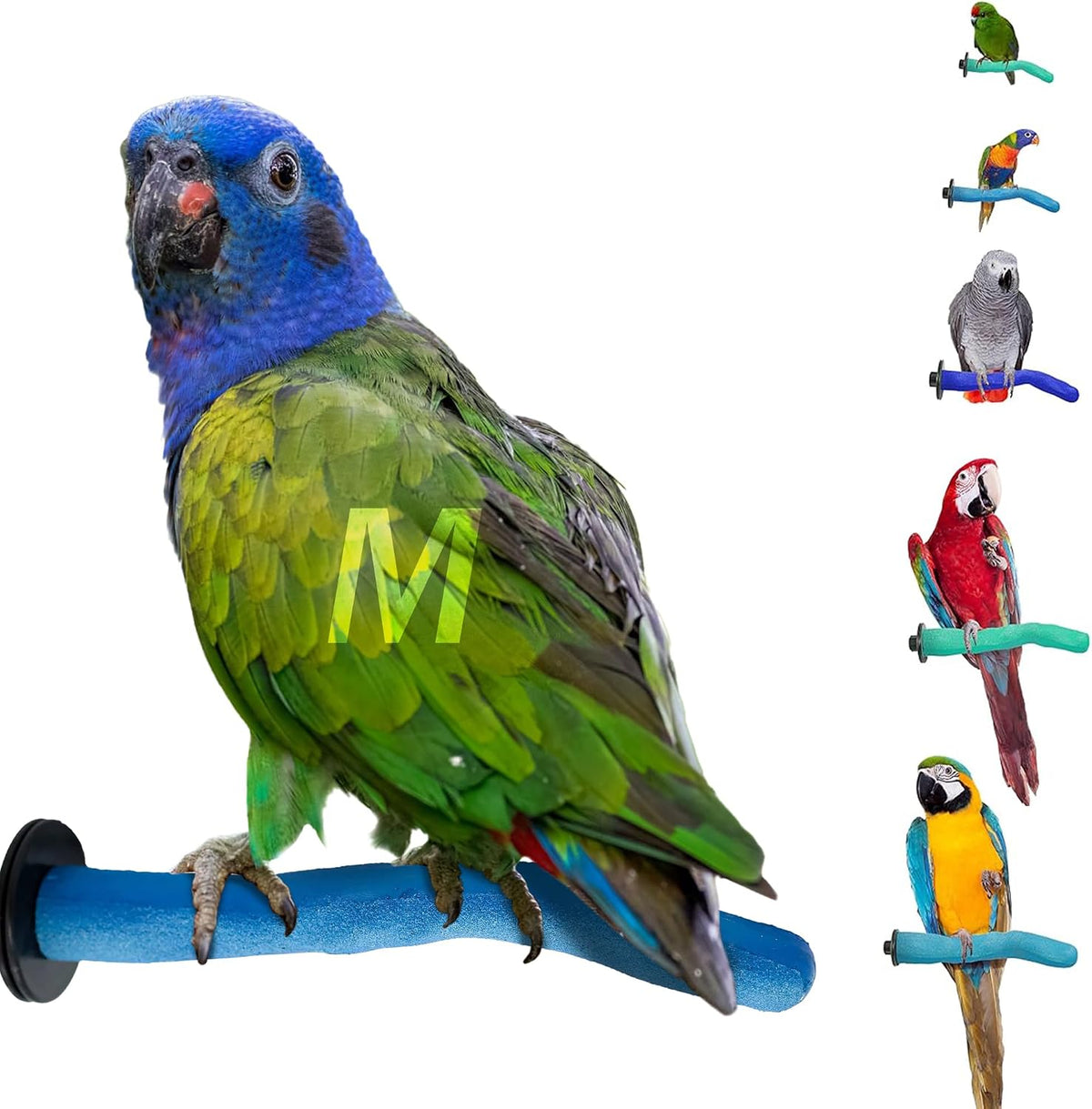 Sweet Feet and Beak Safety Pumice Bird Perch, Small Pedicure Perch, Green - Image 15