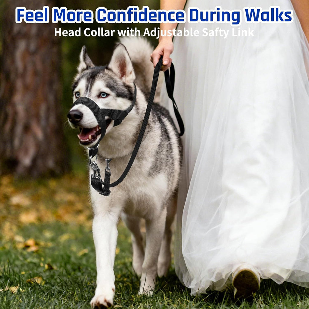 Barkless anti pull dog collar highlighting the adjustable safety link attached to a standard pet collar