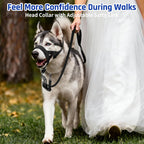 Barkless anti pull dog collar highlighting the adjustable safety link attached to a standard pet collar